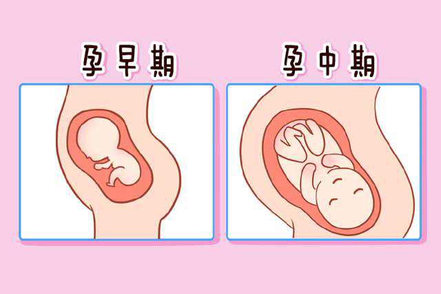 上海做供卵试管最好的医院排