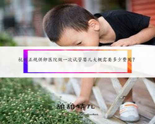 杭州正规供卵医院做一次试管婴儿大概需要多少费用？