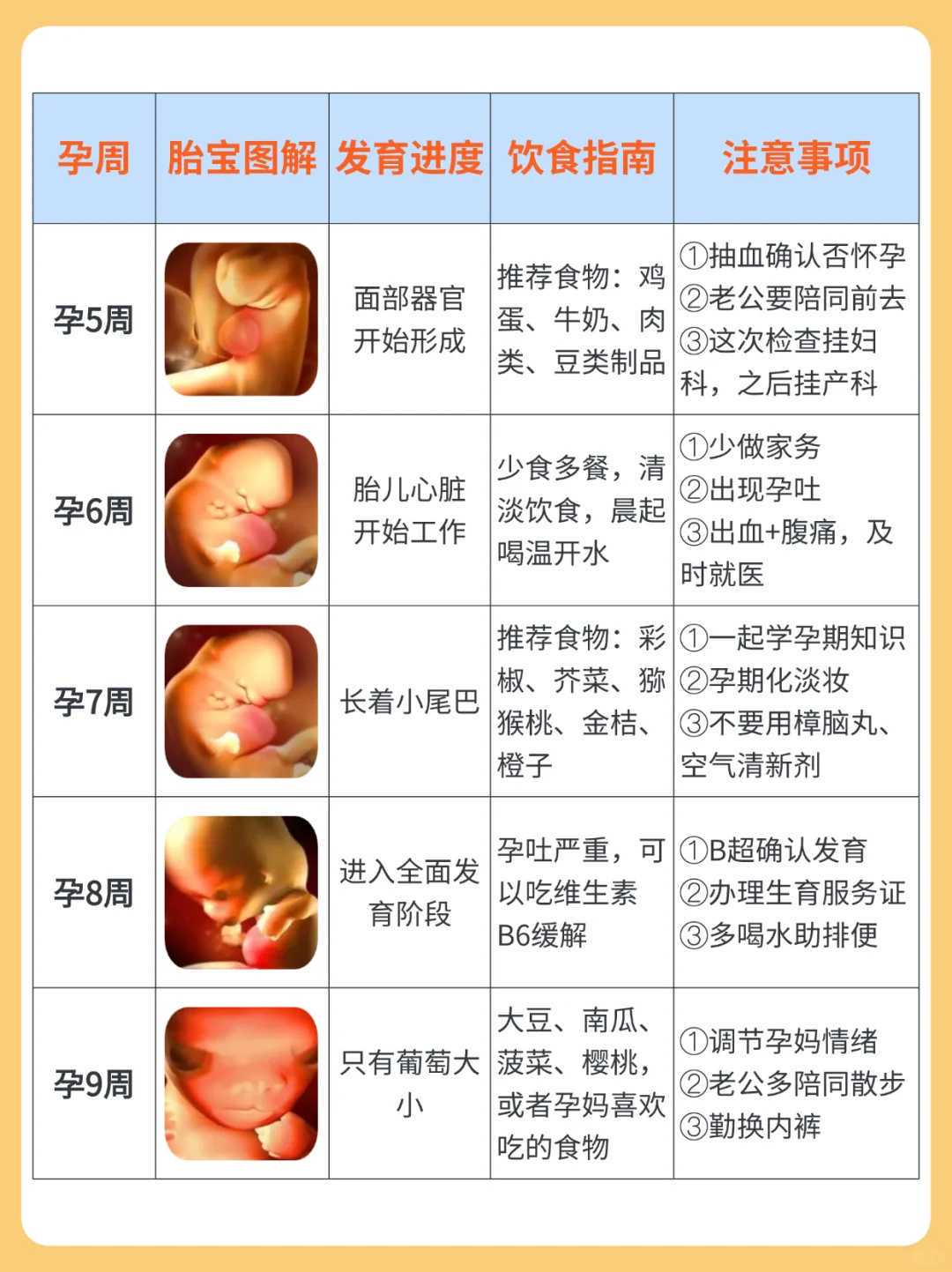 二代试管和三代试管的区别？广州生殖专家深度解析拉拉同志胚胎植入前遗传学检测成功率与费用